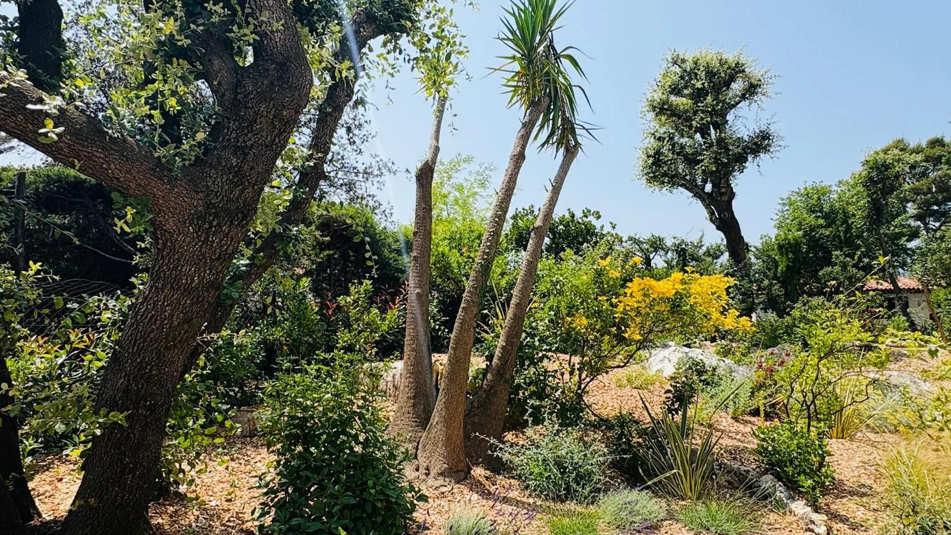 Ongoing Renovation - Villa With Private Pool In Vence 0*,  Γαλλία